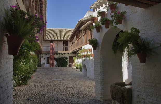 Hotels of all sizes, themes and locations